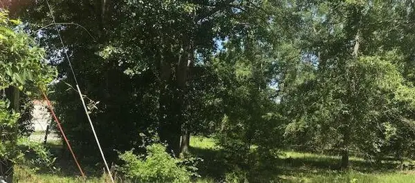 Tbd Sappling Road, Barnwell, SC 29812