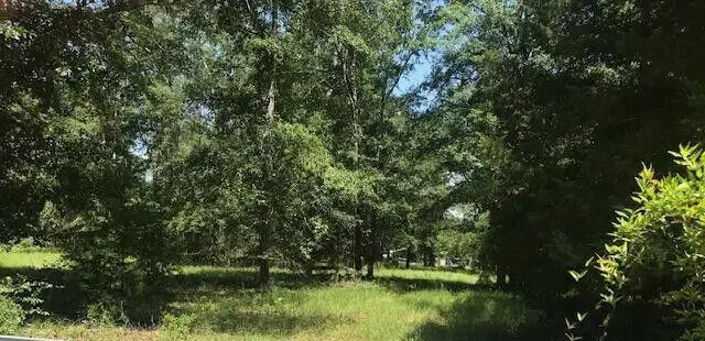 Tbd Sappling Road, Barnwell, SC 29812 - #1