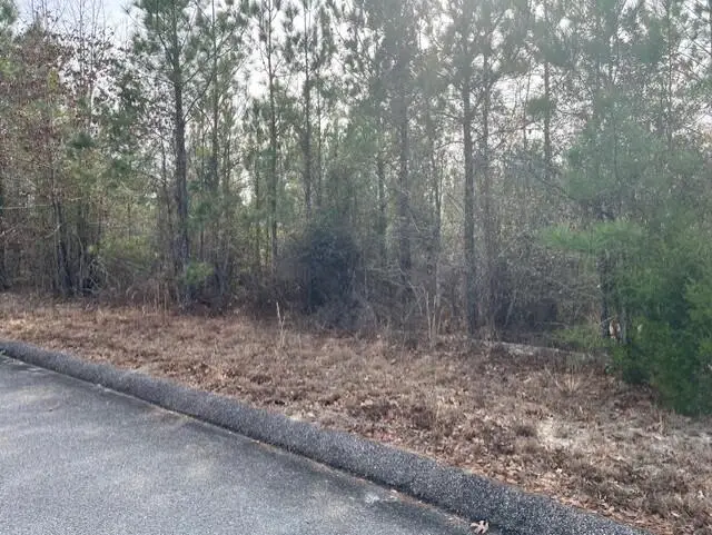 Lot 27 Misty River Trail, Windsor, SC 29856 - Image #1