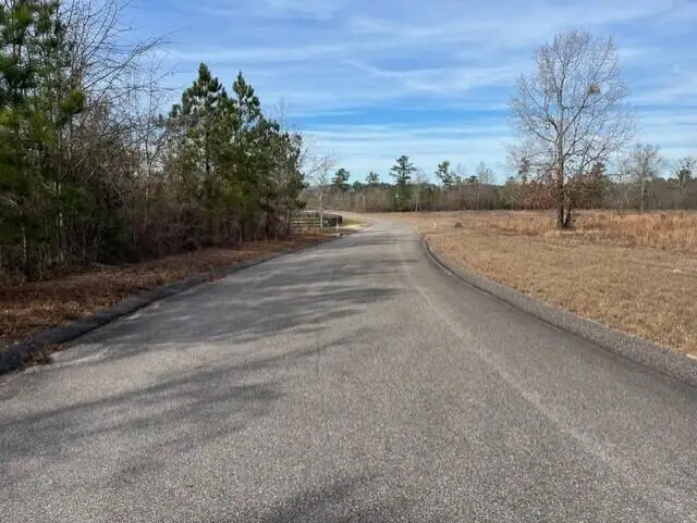 Lot 27 Misty River Trail, Windsor, SC 29856 - Image #2