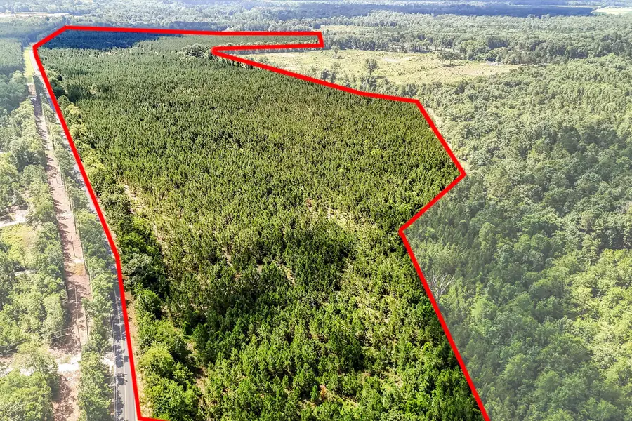 4000 Old 96 Indian Trail, Wagener, SC 29164 - Image #2