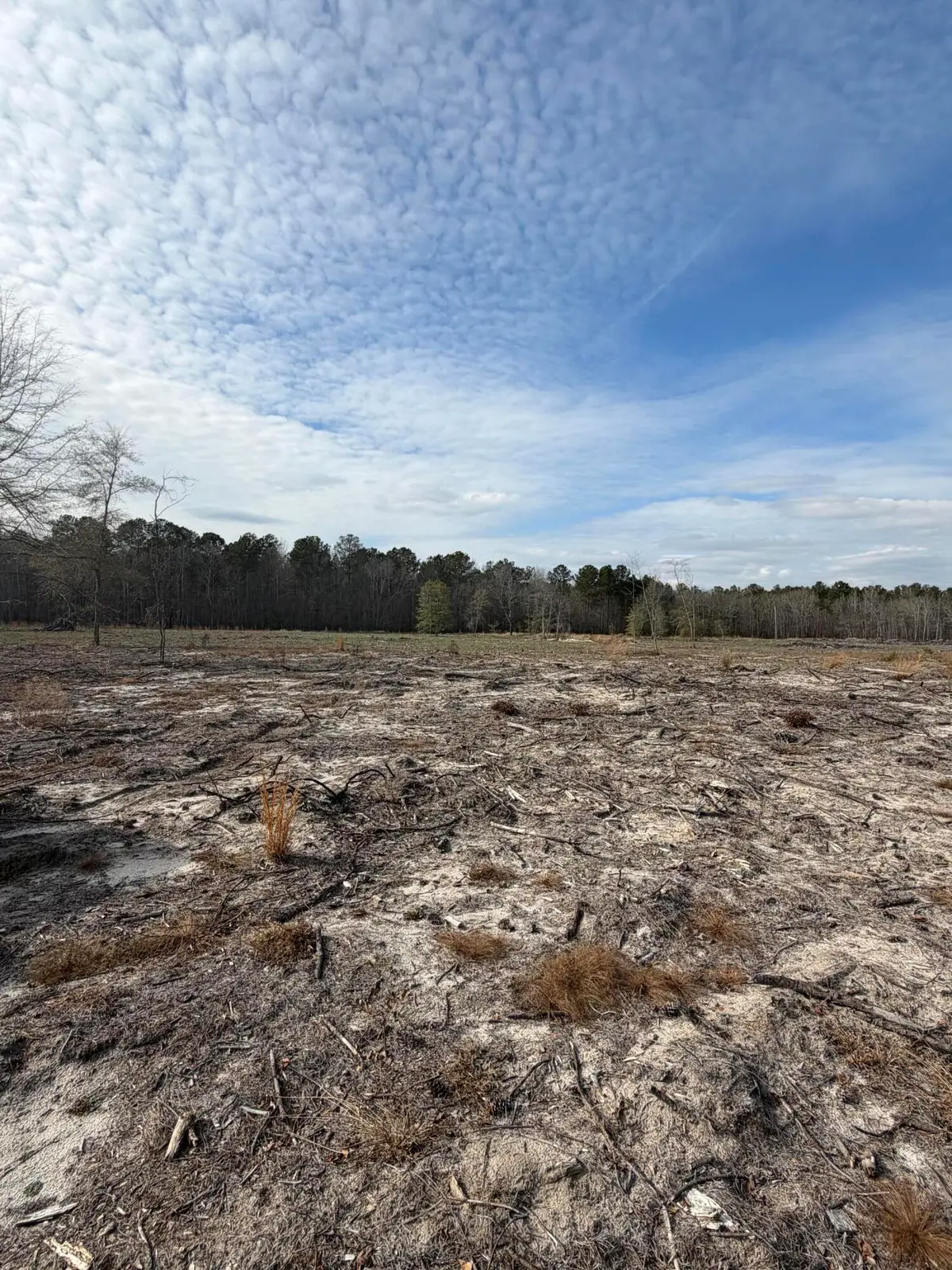 20.33 R And B Avenue, Barnwell, SC 29812 - #1