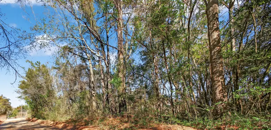 449 Harlem Street, New Ellenton, SC 29809 - #2