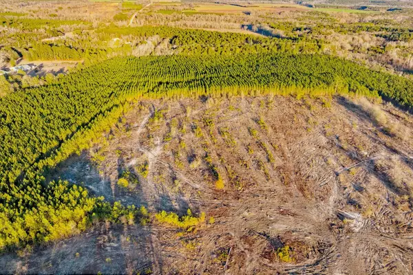 000 Maple Street Se, Salley, SC 29137