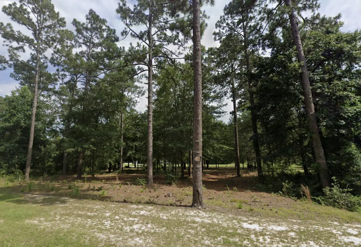 Lot 26 Birdie Place, Graniteville, SC 29829 - #1