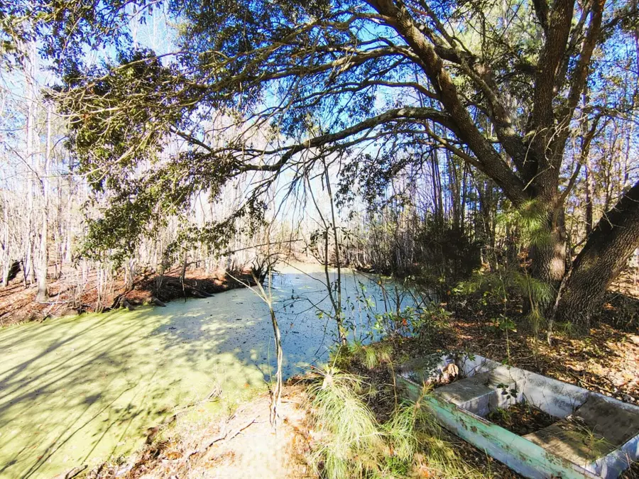 1435 Arista Road, Bowman, SC 29018 - #3