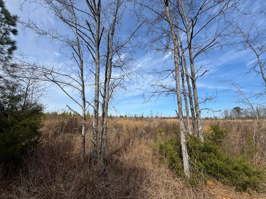 0 Ouzts Road, Edgefield, SC 29824 - #2