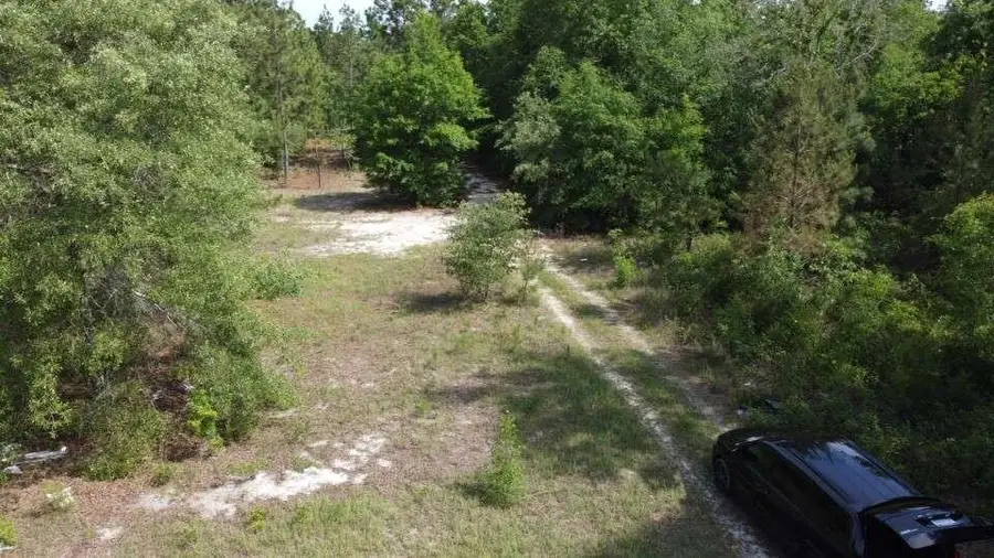 1327 Charlies Loop, Williston, SC 29853 - #3