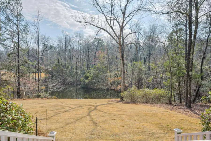 589 Pintail Drive, Aiken, SC 29803 - #3