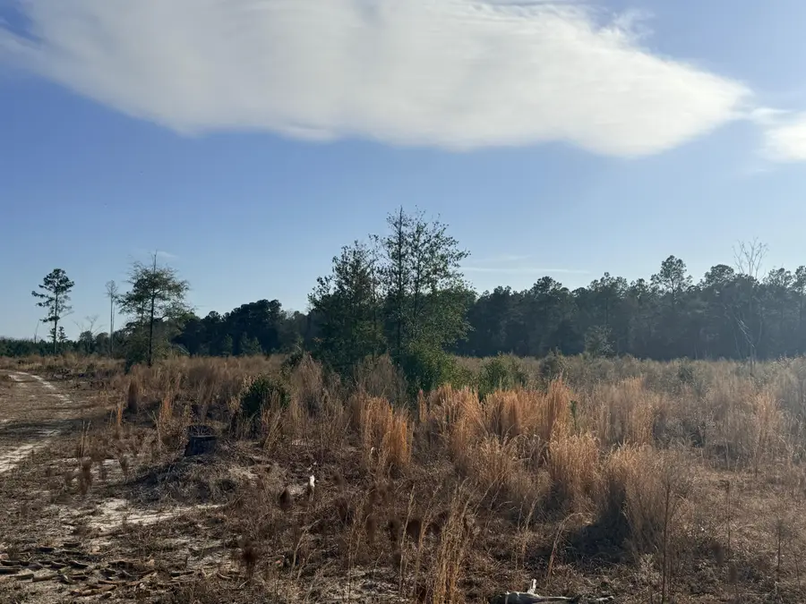 0 Festival Trail Road, Salley, SC 29137 - #3
