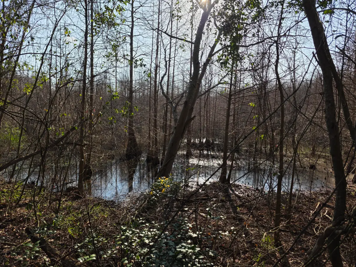 Tbd 7.5 Ac Atomic Road, Beech Island, SC 29842 - #1