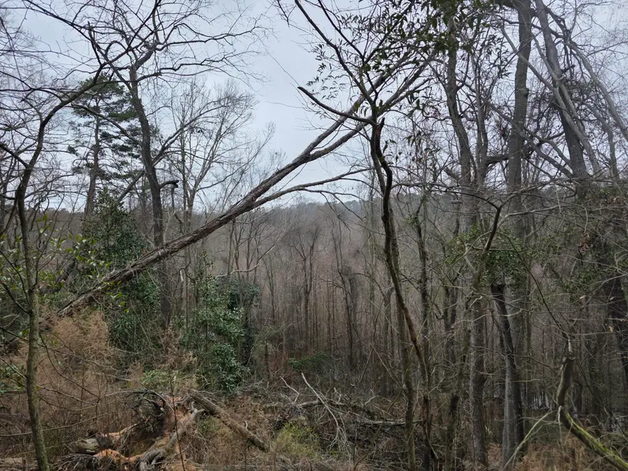 Tbd 7.5 Ac Atomic Road, Beech Island, SC 29842 - #2