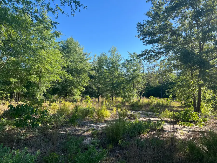 00 Pearl Bonnet Road, Windsor, SC 29856 - #3