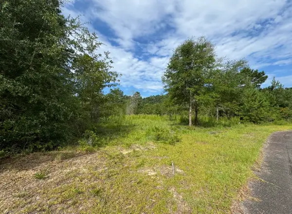 Lot 14 Ash Lane, Williston, SC 29853