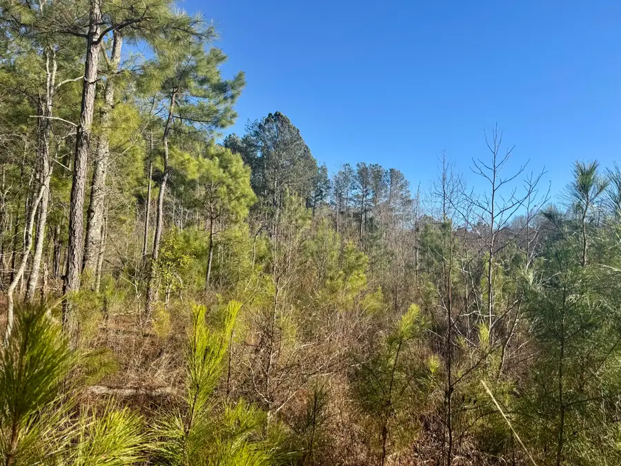 451 Pringlewood Road, Eastover, SC 29044 - #3