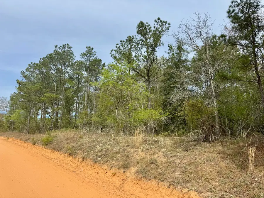 0 Goose Platter Road, Monetta, SC 29105 - #3