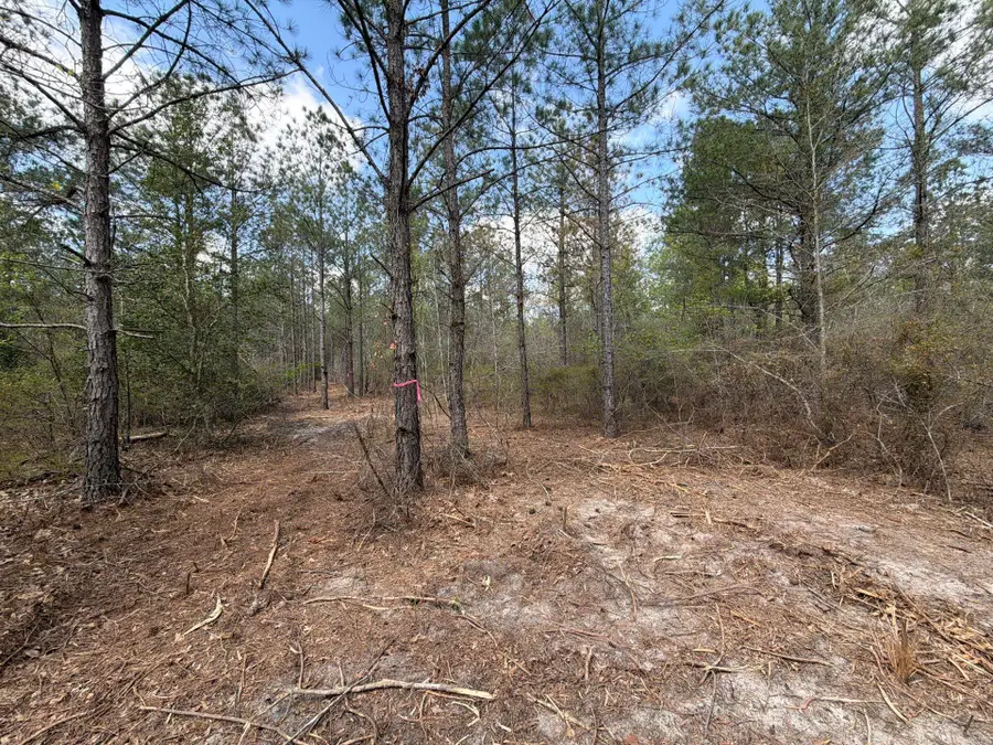 Cva 1 Mount Calvary Road #Cva 1, Ridge Spring, SC 29129 - #3