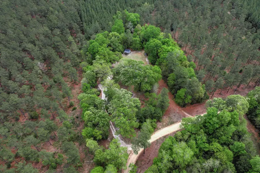 45 Daisy Lane, Barnwell, SC 29812 - #2