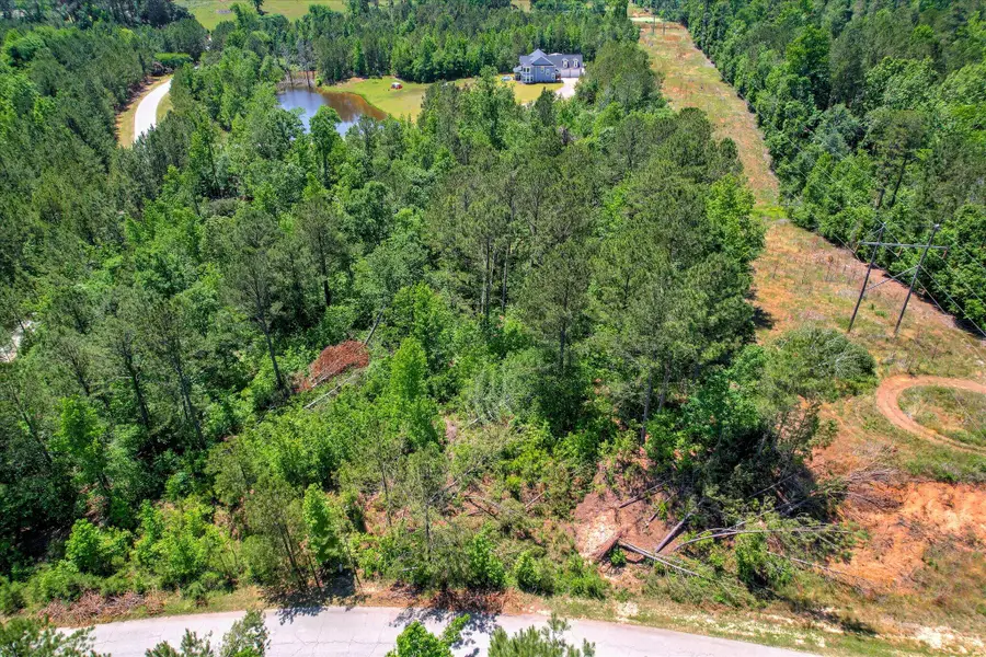 Lot 14 Pindo Pass, North Augusta, SC 29860 - #3