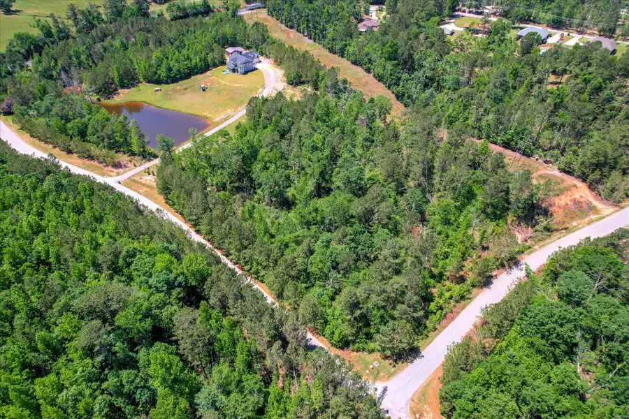 Lot 13 Pindo Pass, North Augusta, SC 29860 - #2