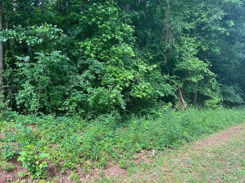 6 New Delaughter Drive, North Augusta, SC 29860 - #3