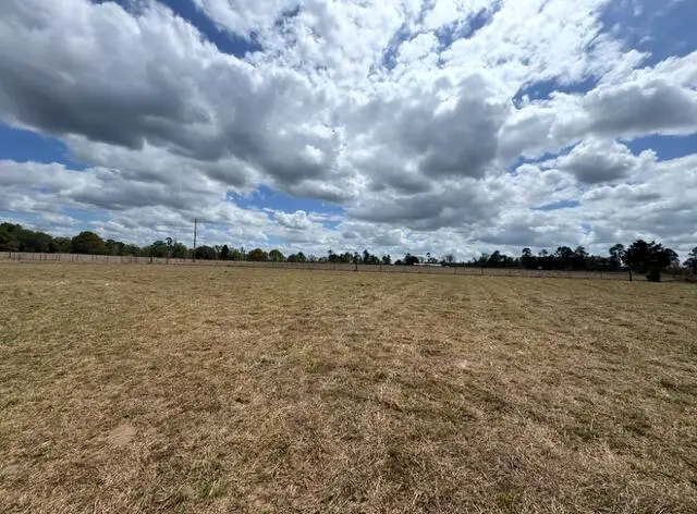 000 New Holland Road, Wagener, SC 29164 - #3