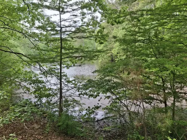 000-A Hummingbird Drive, Trenton, SC 29847