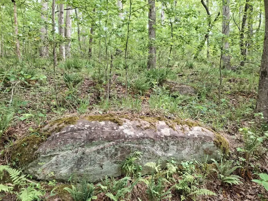 000-A Hummingbird Drive, Trenton, SC 29847 - #2