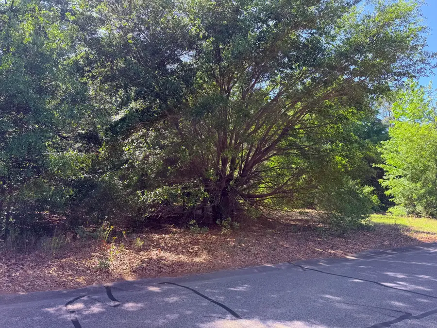 00 Deerwood Road #Lot 10, Barnwell, SC 29812 - #3