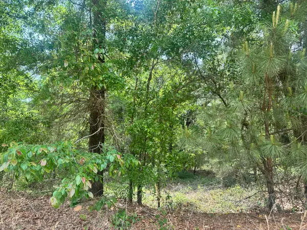 Lot 10 Warbonnet Road, Springfield, SC 29146