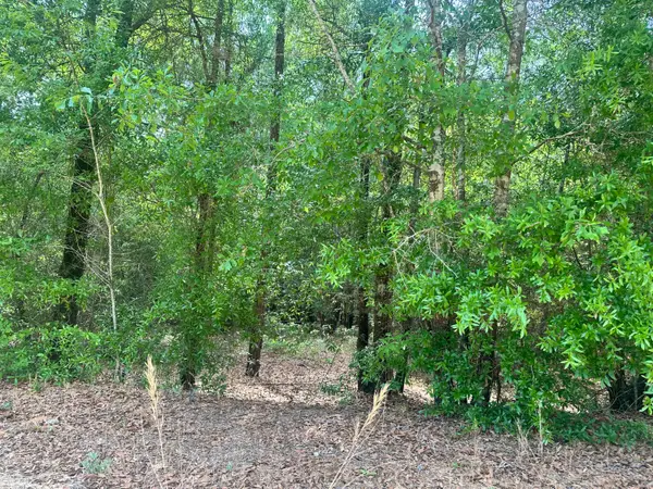 Lot 11 Warbonnet Road, Springfield, SC 29146