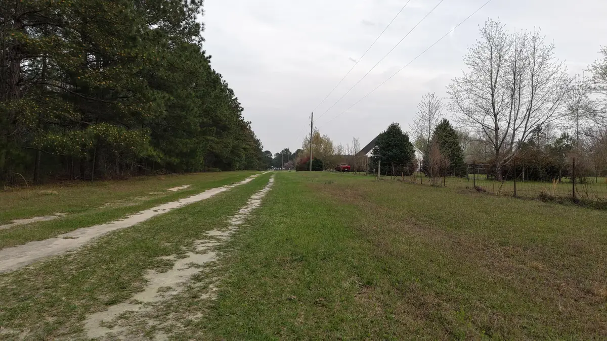 3 Bunch Ford Road #3, Holly Hill, SC 29059 - #1