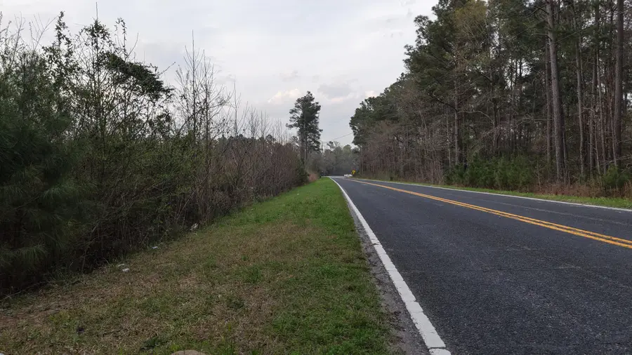 3 Bunch Ford Road #3, Holly Hill, SC 29059 - #3