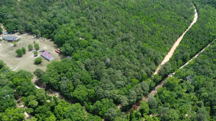 1091 Pine Grove Road, Leesville, SC 29006 - #2