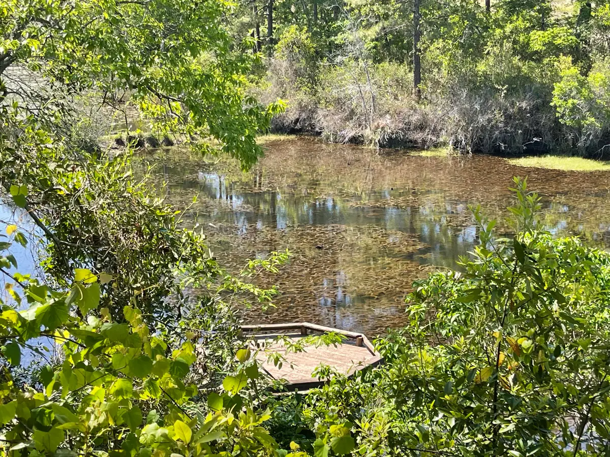 211 Elk Drive, Aiken, SC 29805 - #1