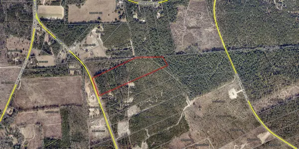 15 Acres S Dixie Road, Wagener, SC 29164