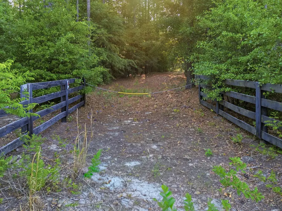 15 Acres S Dixie Road, Wagener, SC 29164 - #2