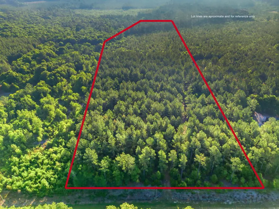 15 Acres S Dixie Road, Wagener, SC 29164 - #3