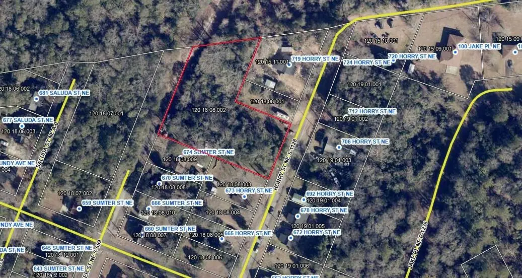 Tbd Horry Street Ne, Aiken, SC 29801 - #1