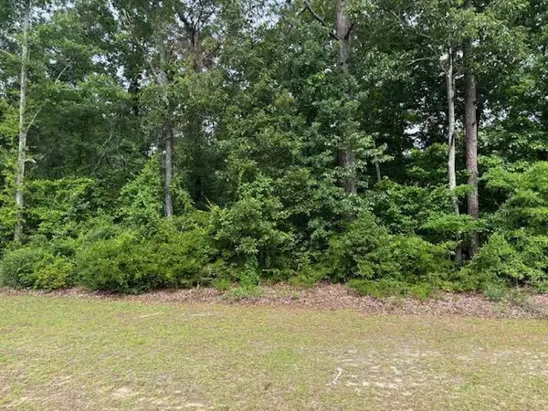 000 Sc Hwy 3, Barnwell, SC 29812