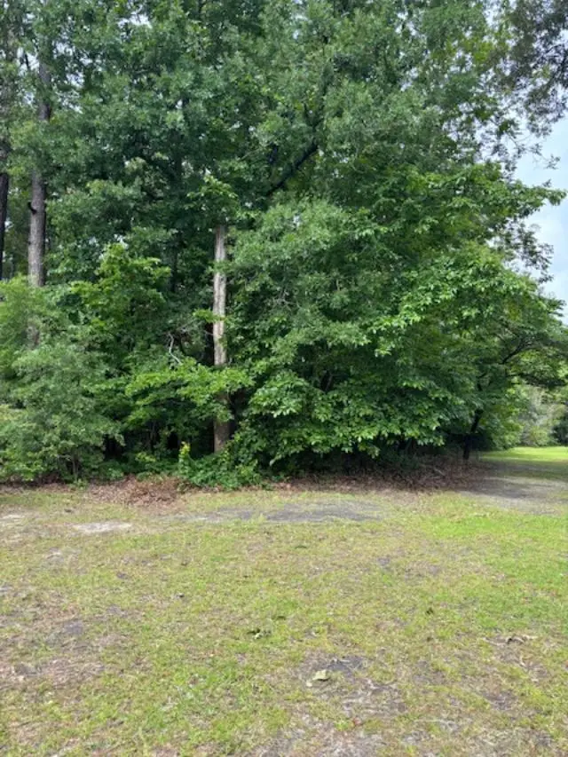 000 Sc Hwy 3, Barnwell, SC 29812 - #2