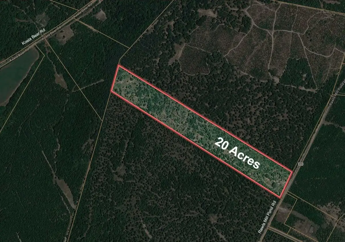 20 Acres Rawls Mill Pond Road, Wagener, SC 29164 - #1