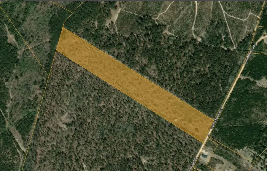 20 Acres Rawls Mill Pond Road, Wagener, SC 29164 - #2