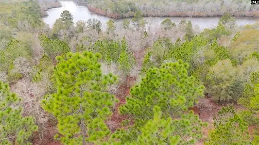 0 Browns Pond Road, Wagener, SC 29164