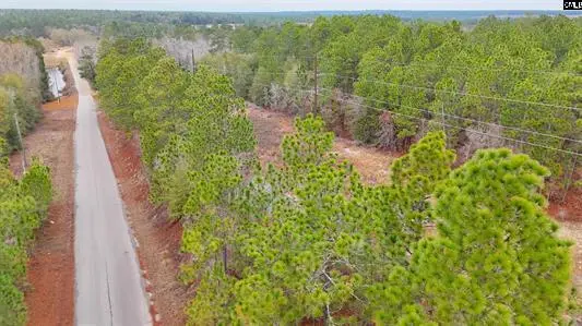 0 Browns Pond Road, Wagener, SC 29164 - #2