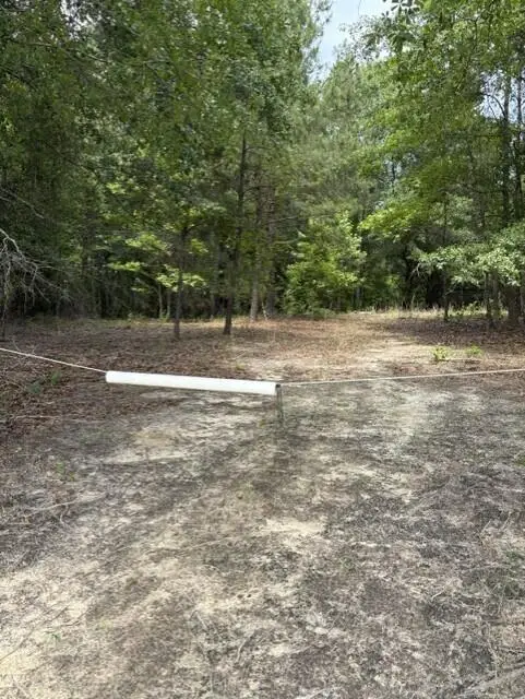 0 Cemetery Road, Elko, SC 29826