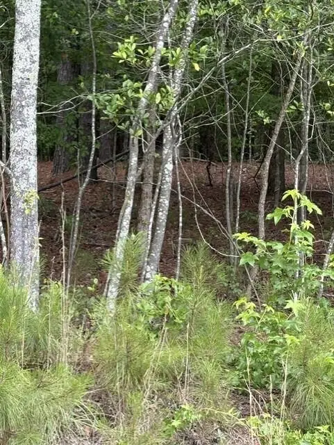 Lot B Cemetery Road, Elko, SC 29826