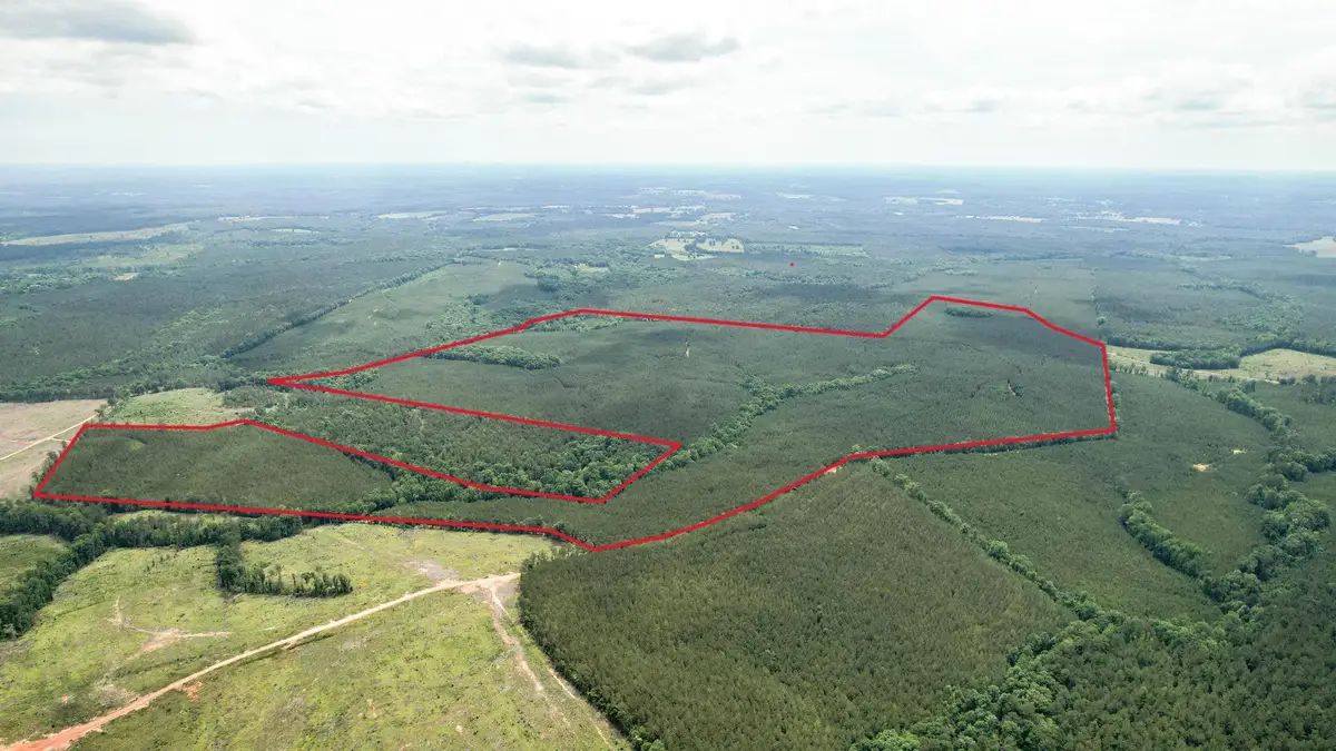 Tbd Pineywood Road #Tbd, Saluda, SC 29138 - #1