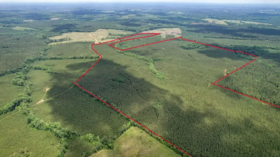 Tbd Pineywood Road #Tbd, Saluda, SC 29138 - #3