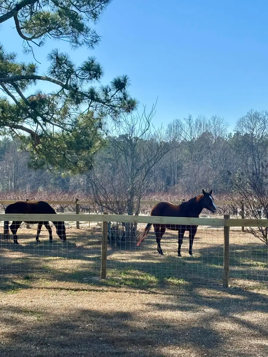 1412 Mccreight Road, Ridge Spring, SC 29129 - #3